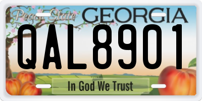 GA license plate QAL8901