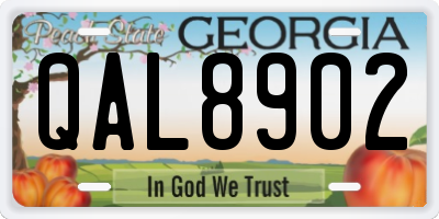 GA license plate QAL8902