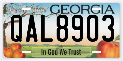 GA license plate QAL8903