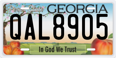 GA license plate QAL8905