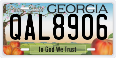 GA license plate QAL8906