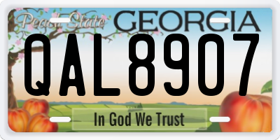 GA license plate QAL8907