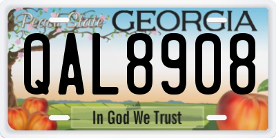 GA license plate QAL8908