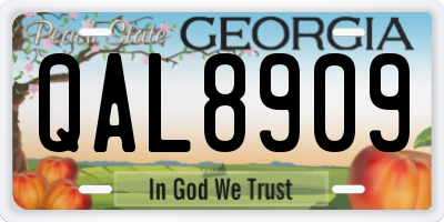 GA license plate QAL8909