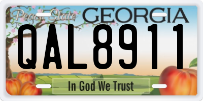 GA license plate QAL8911