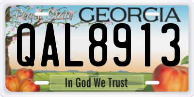 GA license plate QAL8913