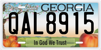 GA license plate QAL8915