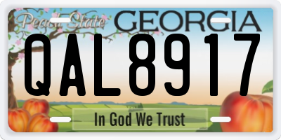 GA license plate QAL8917