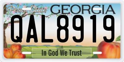 GA license plate QAL8919