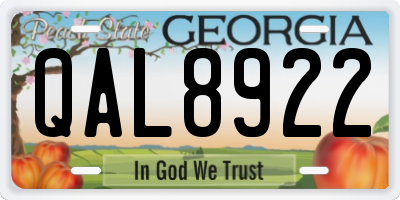 GA license plate QAL8922