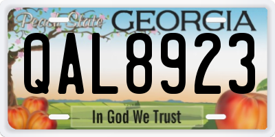 GA license plate QAL8923