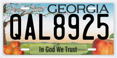 GA license plate QAL8925