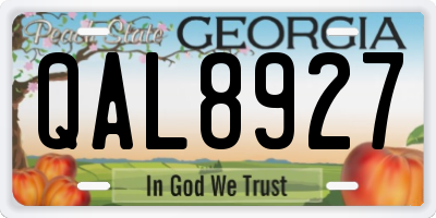 GA license plate QAL8927