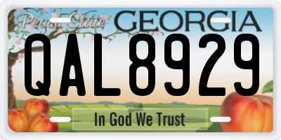 GA license plate QAL8929