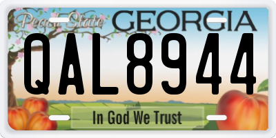 GA license plate QAL8944