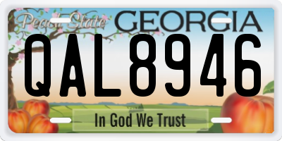 GA license plate QAL8946