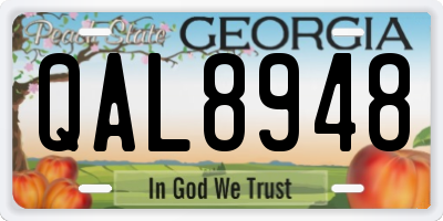GA license plate QAL8948