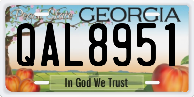 GA license plate QAL8951