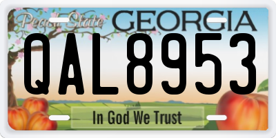 GA license plate QAL8953