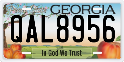 GA license plate QAL8956