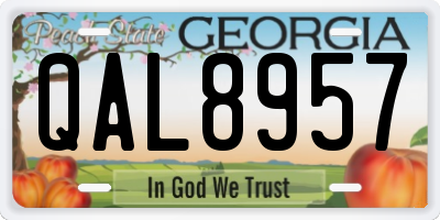 GA license plate QAL8957