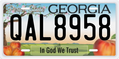 GA license plate QAL8958