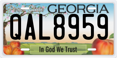 GA license plate QAL8959