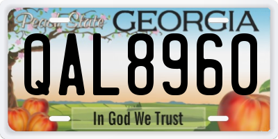 GA license plate QAL8960