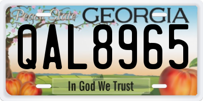 GA license plate QAL8965