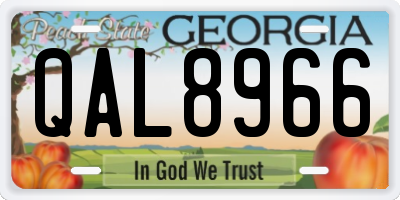 GA license plate QAL8966