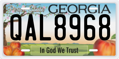 GA license plate QAL8968