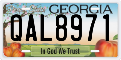 GA license plate QAL8971