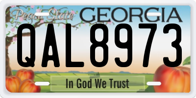 GA license plate QAL8973