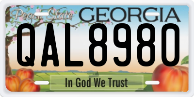 GA license plate QAL8980