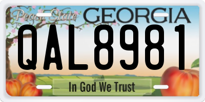 GA license plate QAL8981