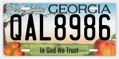 GA license plate QAL8986