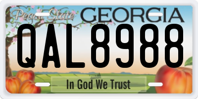 GA license plate QAL8988