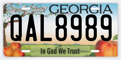 GA license plate QAL8989