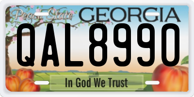 GA license plate QAL8990