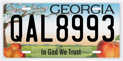 GA license plate QAL8993