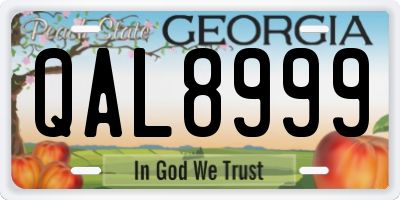 GA license plate QAL8999