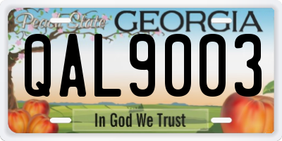 GA license plate QAL9003