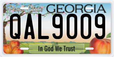 GA license plate QAL9009