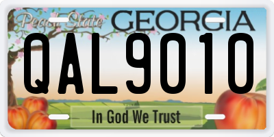 GA license plate QAL9010