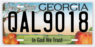 GA license plate QAL9018