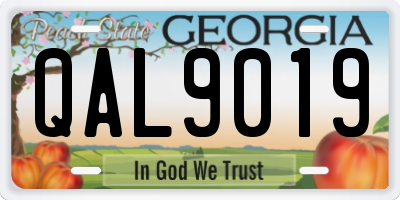 GA license plate QAL9019