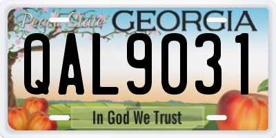 GA license plate QAL9031