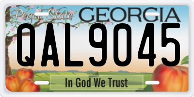 GA license plate QAL9045