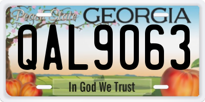 GA license plate QAL9063