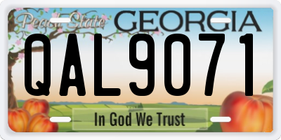 GA license plate QAL9071